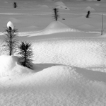 my dva a naše ratolesti