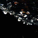 °°Mokrá pavučina°°