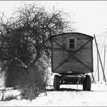 zimní stanoviště   II