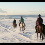 směr Senice na Hané ...