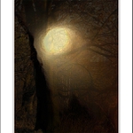 jistá nepřítomnost lesů