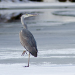 brrr ještě to zebe