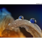 ... Barevná maličkost ...