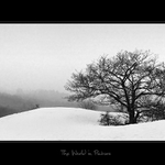 Přírodní rezervace Divoká Šárka II