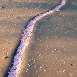 -> ...řeky měly svá koryta...