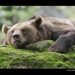 Tak už to zmáčkni...