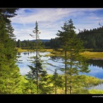 Malé Javorské jezero