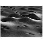 ...poslední paprsek...