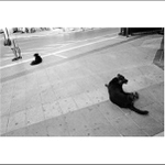 Street of the Greece XIII