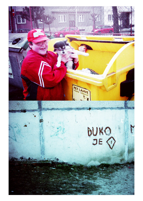 zpráva