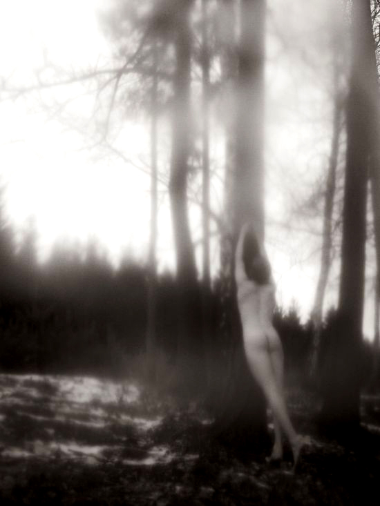 samotář II