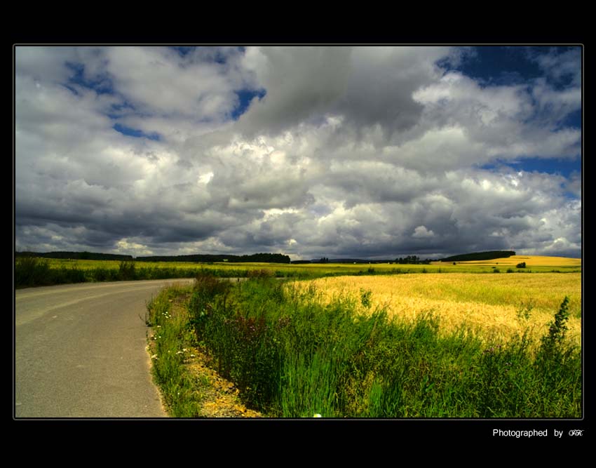 °°Yellowfield_HDR°°