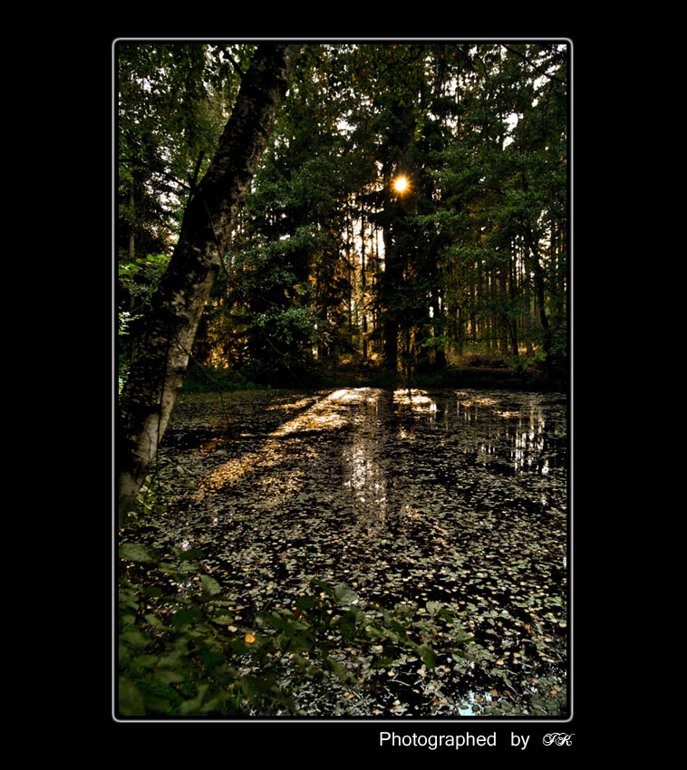 °°Rusalčino jezírko°°