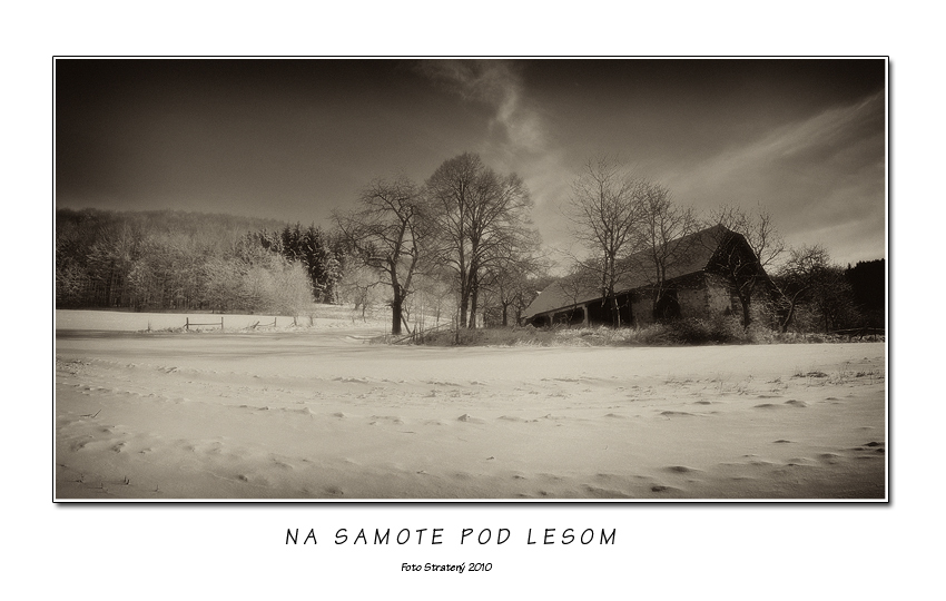Na samote pod lesom