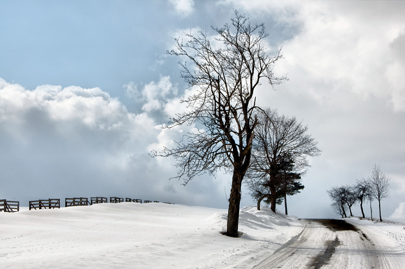 Horizont