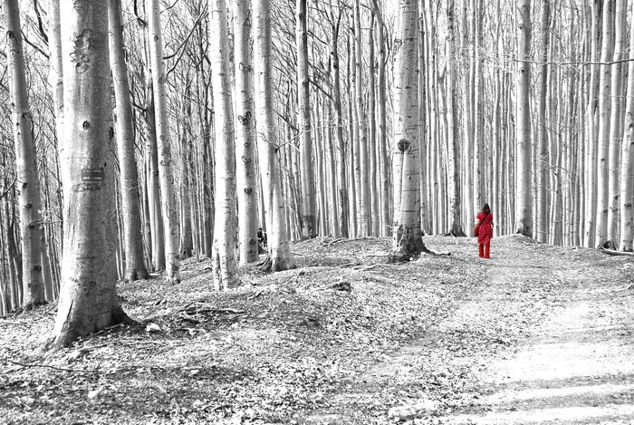 Karkulka na výletě