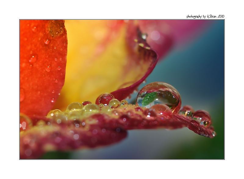 ... Kapky, kapky, kapičky ...