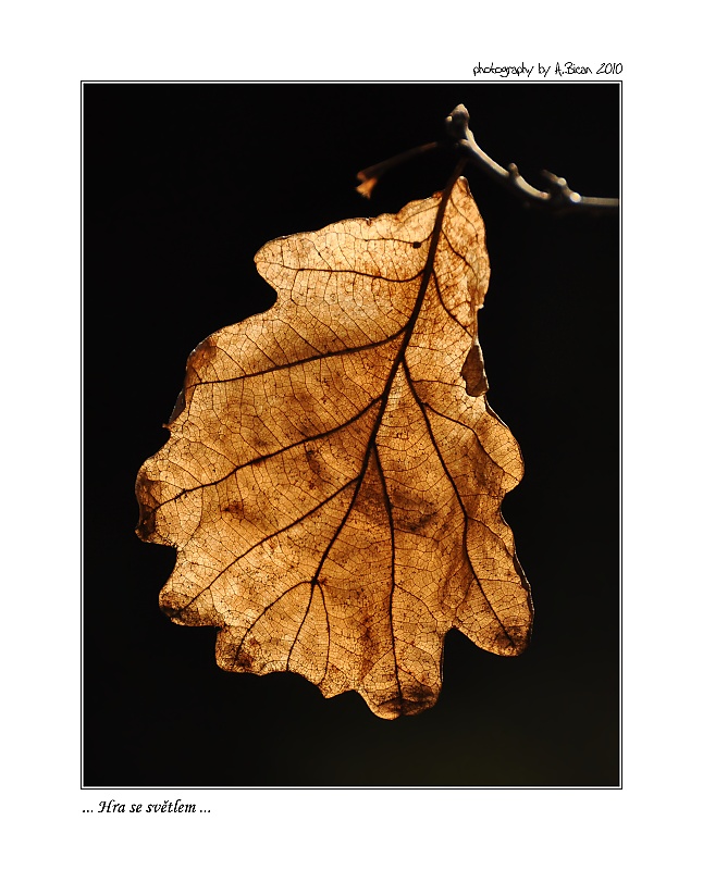 ... Hra se světlem ...