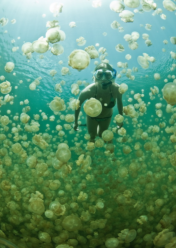 Jellyfish girl