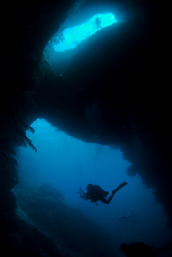 Turtle Cove