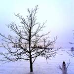 sněhulák to nevydržel