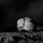 Letos se už nenastěhuju.... :-(