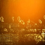 Jsem tu!! A v plné síle!! Jarní SLUNCE