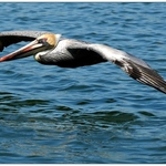 jen si tak plachtím...