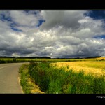 °°Yellowfield_HDR°°