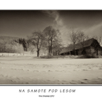 Na samote pod lesom