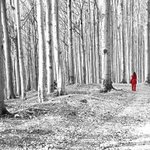 Karkulka na výletě