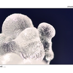 ... Ledový mozek ...