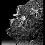 Kdepak ty hvezdy jsou?