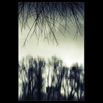 Poločas výstřelů