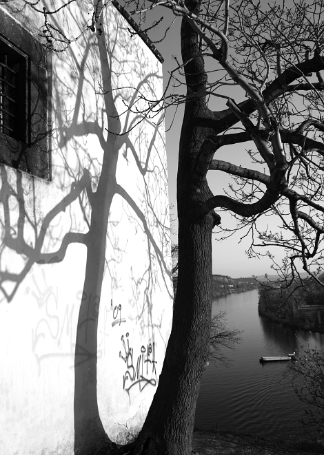Vysehrad