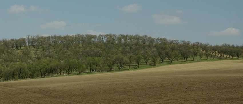 Krajina