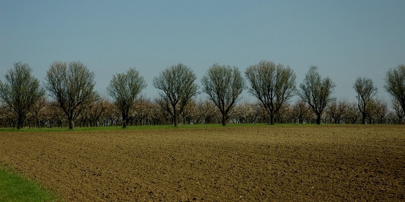 Krajina II.