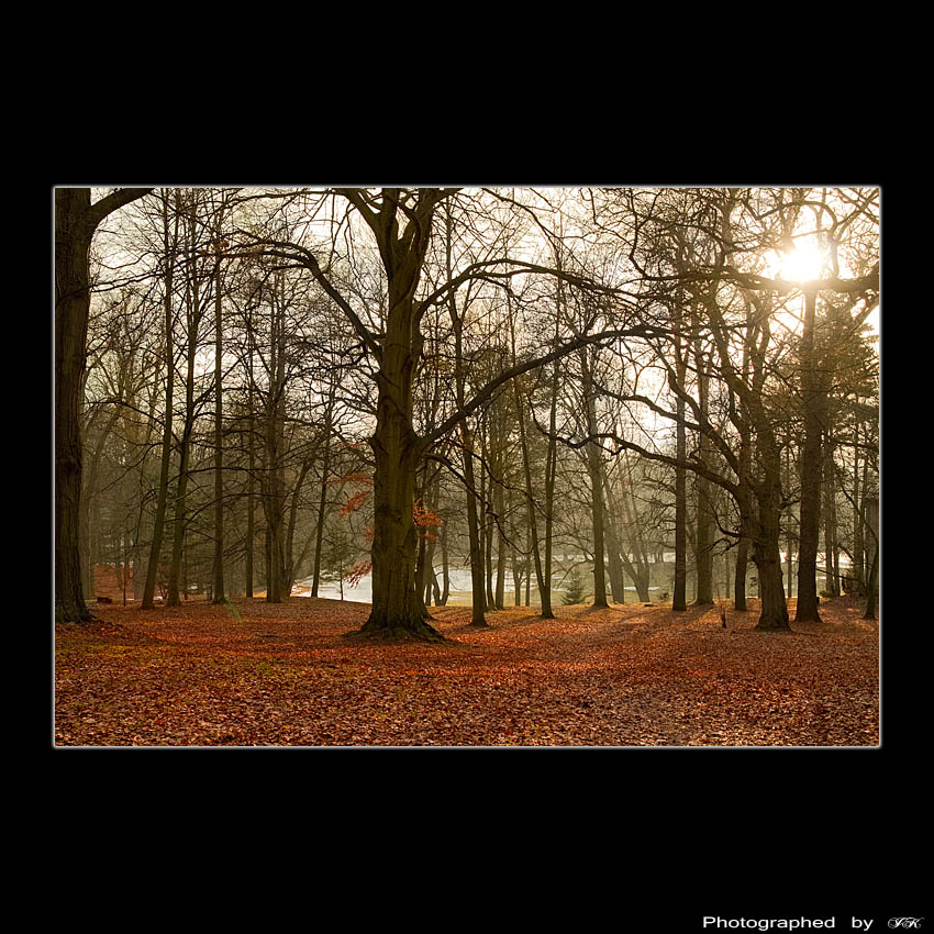 °°Zámecká zahrada°°