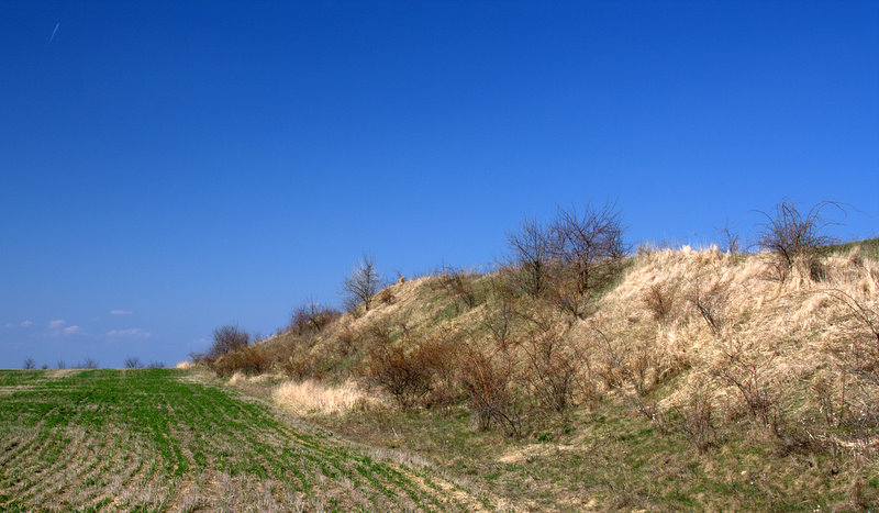Přichází jaro
