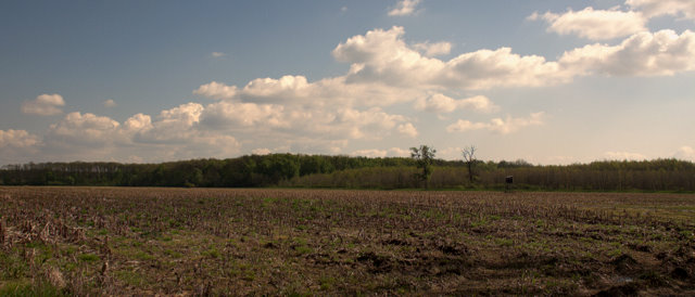 Podluží