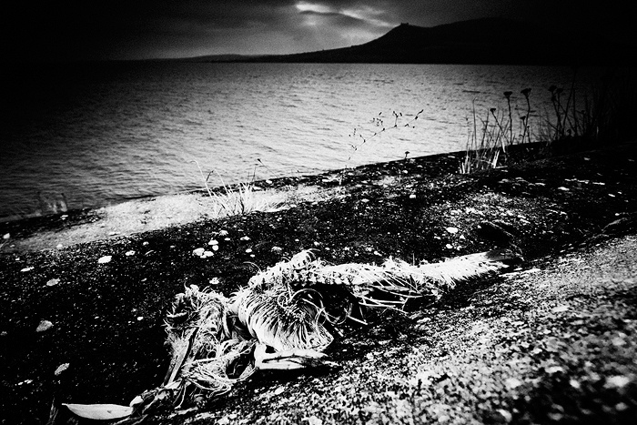 ...Cháronův pomocník...