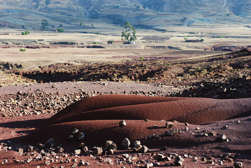 Maragua VII