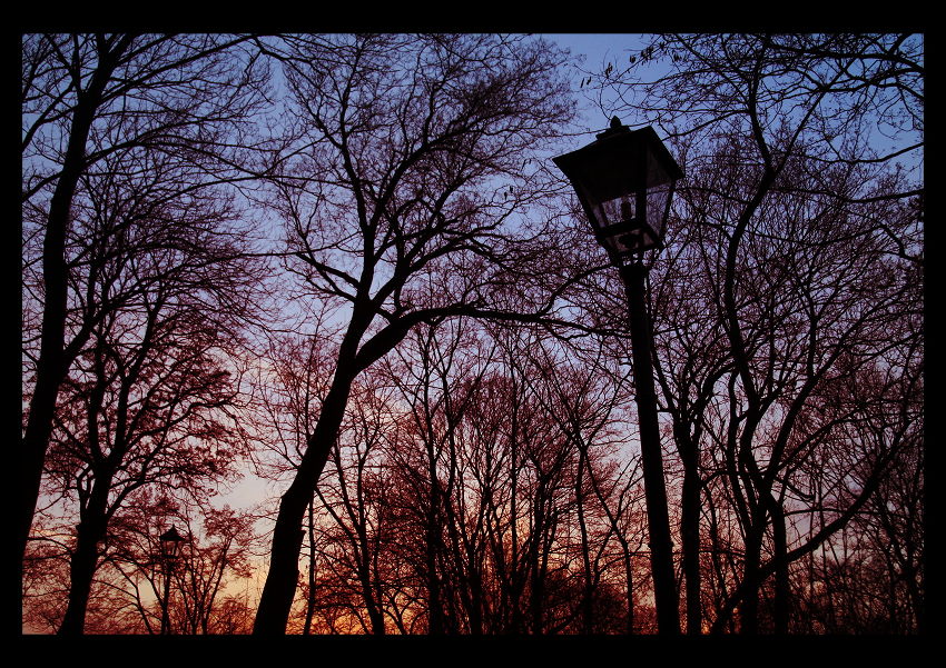 Podvečerní park..