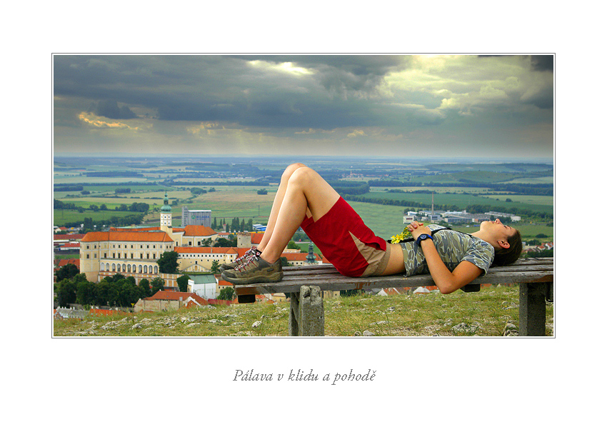 Pálavský pohled