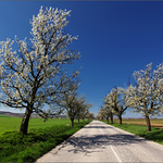 jarné cesty a cestičky... :-)