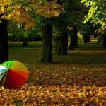 Vzpomínka na podzim