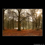 °°Zámecká zahrada°°