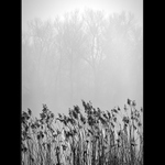 Všední obrázky...