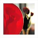 Balónek společenský