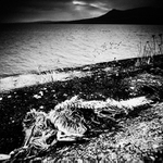 ...Cháronův pomocník...